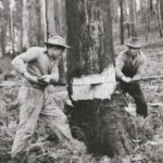 463208424 10234437595340485 4380453920354798498 n